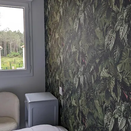 Apartment Charmant T2 Neuf Sud Landes